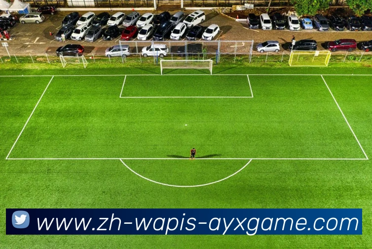 App Interface Preview