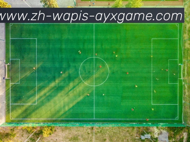 爱游戏APP 封面图